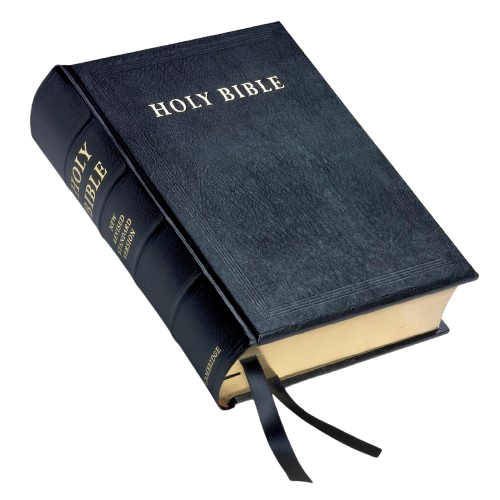 Mt 28:19